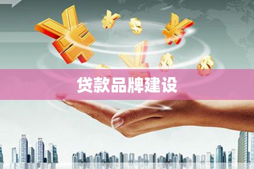 大树贷款品牌建设