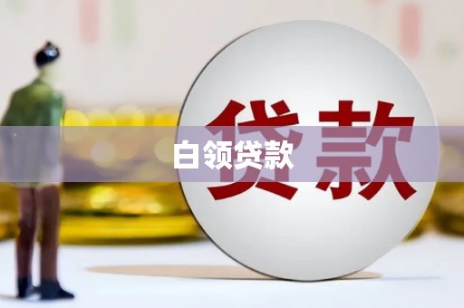 大树白领贷款
