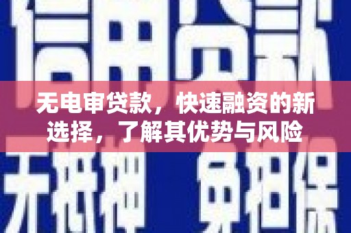 大树无电审贷款，快速融资的新选择，了解其优势与风险