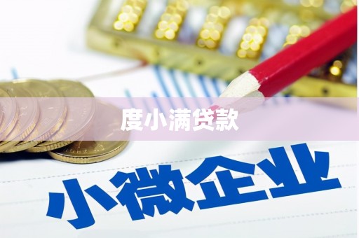 大树度小满贷款