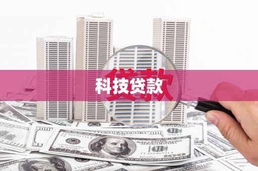 大树科技贷款