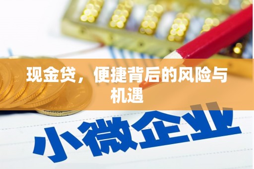 大树现金贷，便捷背后的风险与机遇
