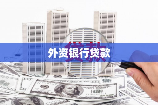 大树外资银行贷款