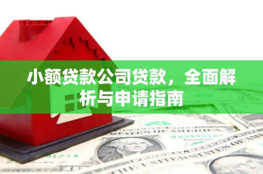 大树小额贷款公司贷款，全面解析与申请指南
