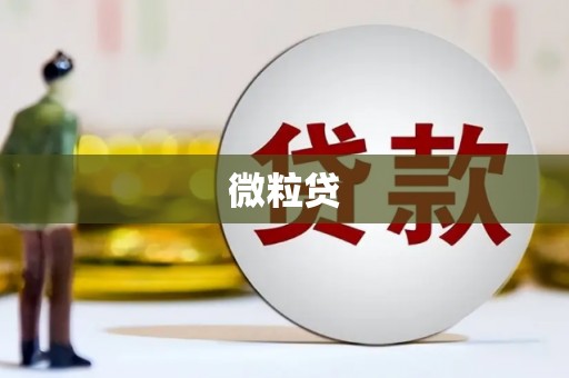 大树微粒贷