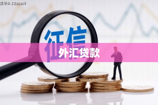 大树外汇贷款