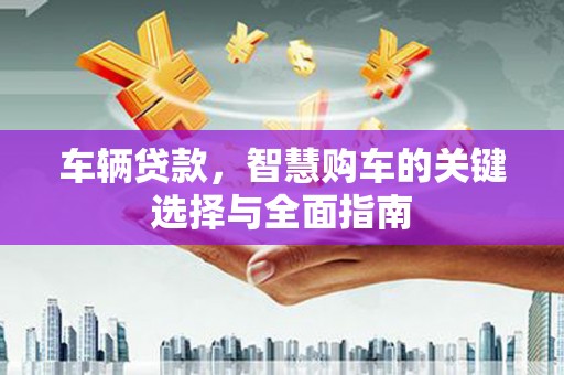 大树车辆贷款，智慧购车的关键选择与全面指南
