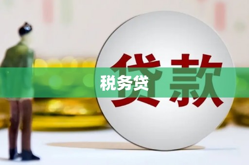 大树税务贷