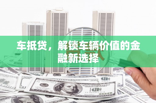大树车抵贷，解锁车辆价值的金融新选择