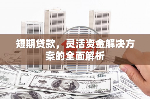 大树短期贷款，灵活资金解决方案的全面解析