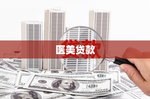 大树医美贷款