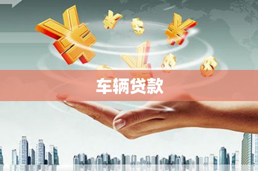大树车辆贷款