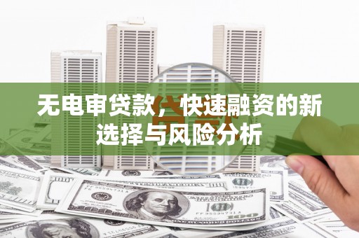 大树无电审贷款，快速融资的新选择与风险分析