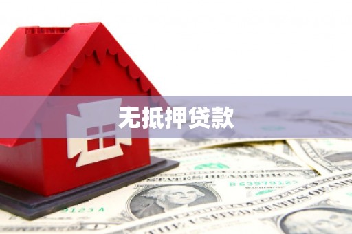 大树无抵押贷款