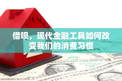 大树借呗，现代金融工具如何改变我们的消费习惯