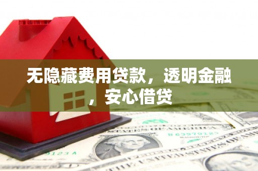 大树无隐藏费用贷款，透明金融，安心借贷
