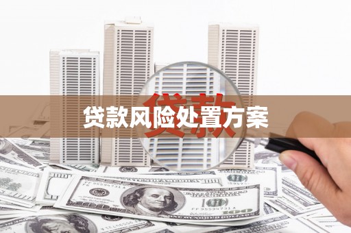 大树贷款风险处置方案