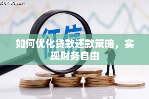大树如何优化贷款还款策略，实现财务自由