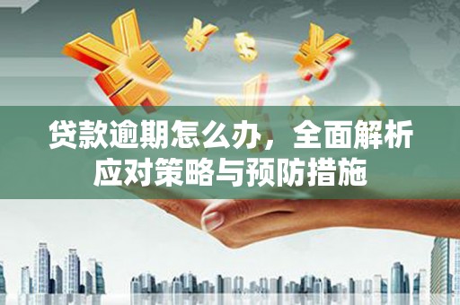 大树贷款逾期怎么办，全面解析应对策略与预防措施