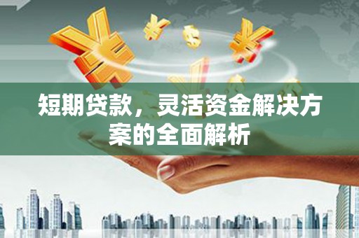 大树短期贷款，灵活资金解决方案的全面解析