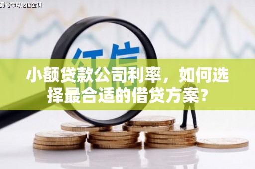 大树小额贷款公司利率，如何选择最合适的借贷方案？