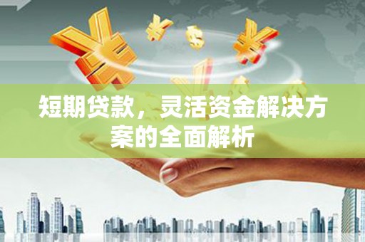 大树短期贷款，灵活资金解决方案的全面解析