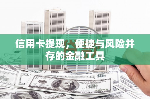 大树信用卡提现，便捷与风险并存的金融工具