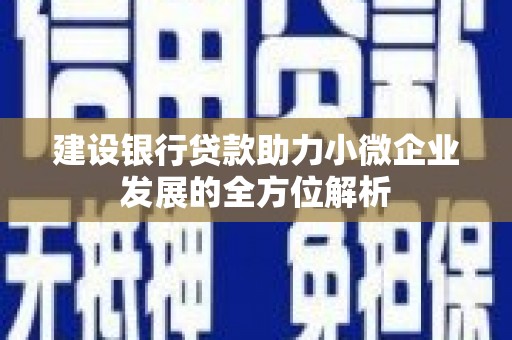 大树建设银行贷款助力小微企业发展的全方位解析