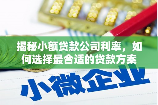 大树揭秘小额贷款公司利率，如何选择最合适的贷款方案