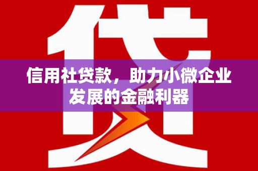 大树信用社贷款，助力小微企业发展的金融利器
