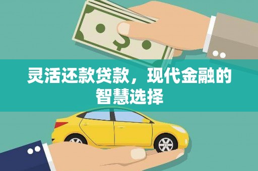 大树灵活还款贷款，现代金融的智慧选择