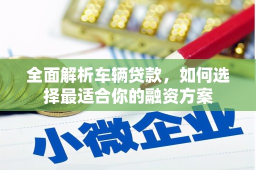 大树全面解析车辆贷款，如何选择最适合你的融资方案