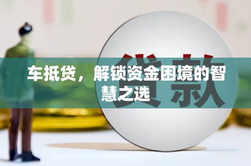 大树车抵贷，解锁资金困境的智慧之选