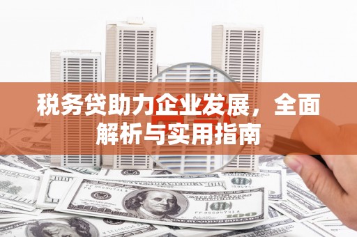 大树税务贷助力企业发展，全面解析与实用指南