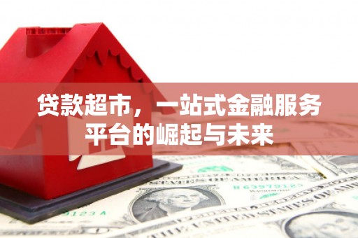 大树贷款超市，一站式金融服务平台的崛起与未来