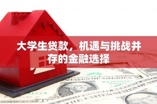 大树大学生贷款，机遇与挑战并存的金融选择
