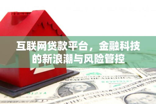 大树互联网贷款平台，金融科技的新浪潮与风险管控