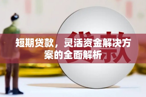 大树短期贷款，灵活资金解决方案的全面解析
