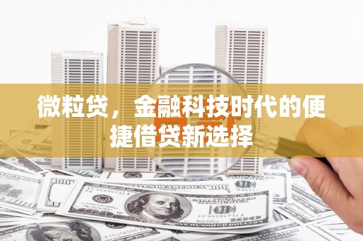 大树微粒贷，金融科技时代的便捷借贷新选择