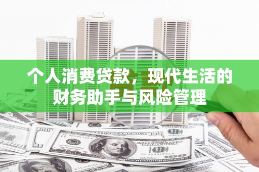 大树个人消费贷款，现代生活的财务助手与风险管理