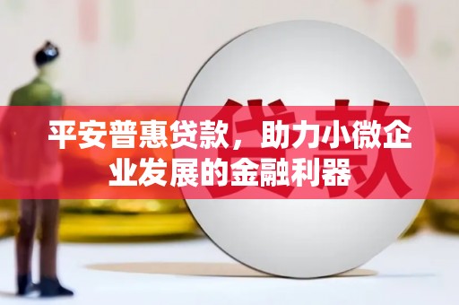 大树平安普惠贷款，助力小微企业发展的金融利器