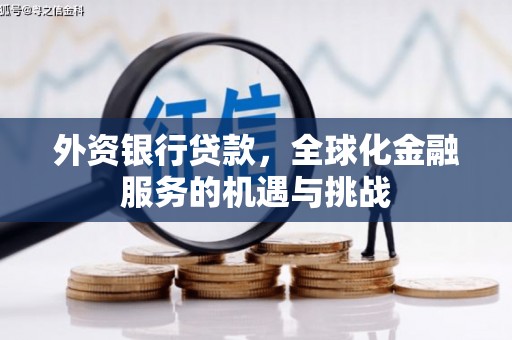 大树外资银行贷款，全球化金融服务的机遇与挑战