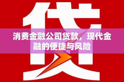 大树消费金融公司贷款，现代金融的便捷与风险