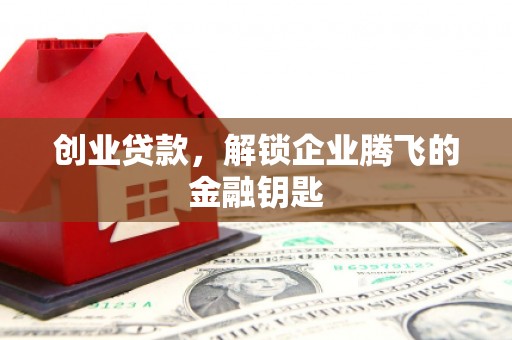 大树创业贷款，解锁企业腾飞的金融钥匙
