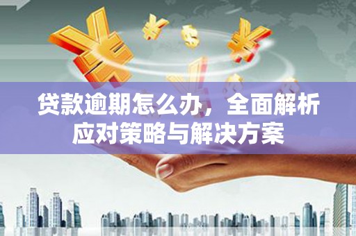 大树贷款逾期怎么办，全面解析应对策略与解决方案