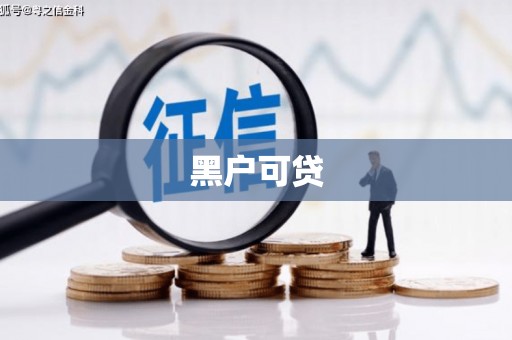 大树黑户可贷