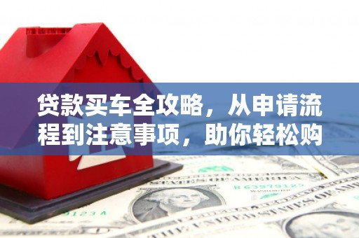 大树贷款买车全攻略，从申请流程到注意事项，助你轻松购车
