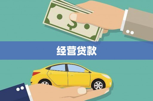 大树经营贷款