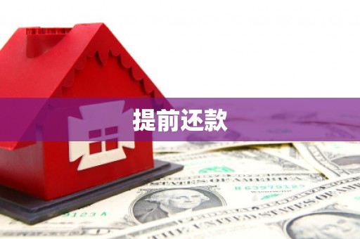 大树提前还款