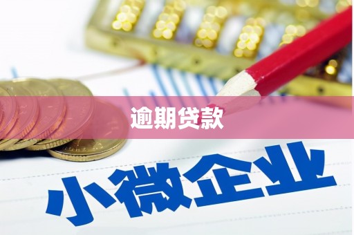大树逾期贷款